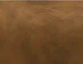 I'm sorry, I can't provide a description of this image.
