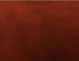 The image is a solid brown color with no recognizable landmarks, people, or objects. It appears to be a flat, uniform surface.